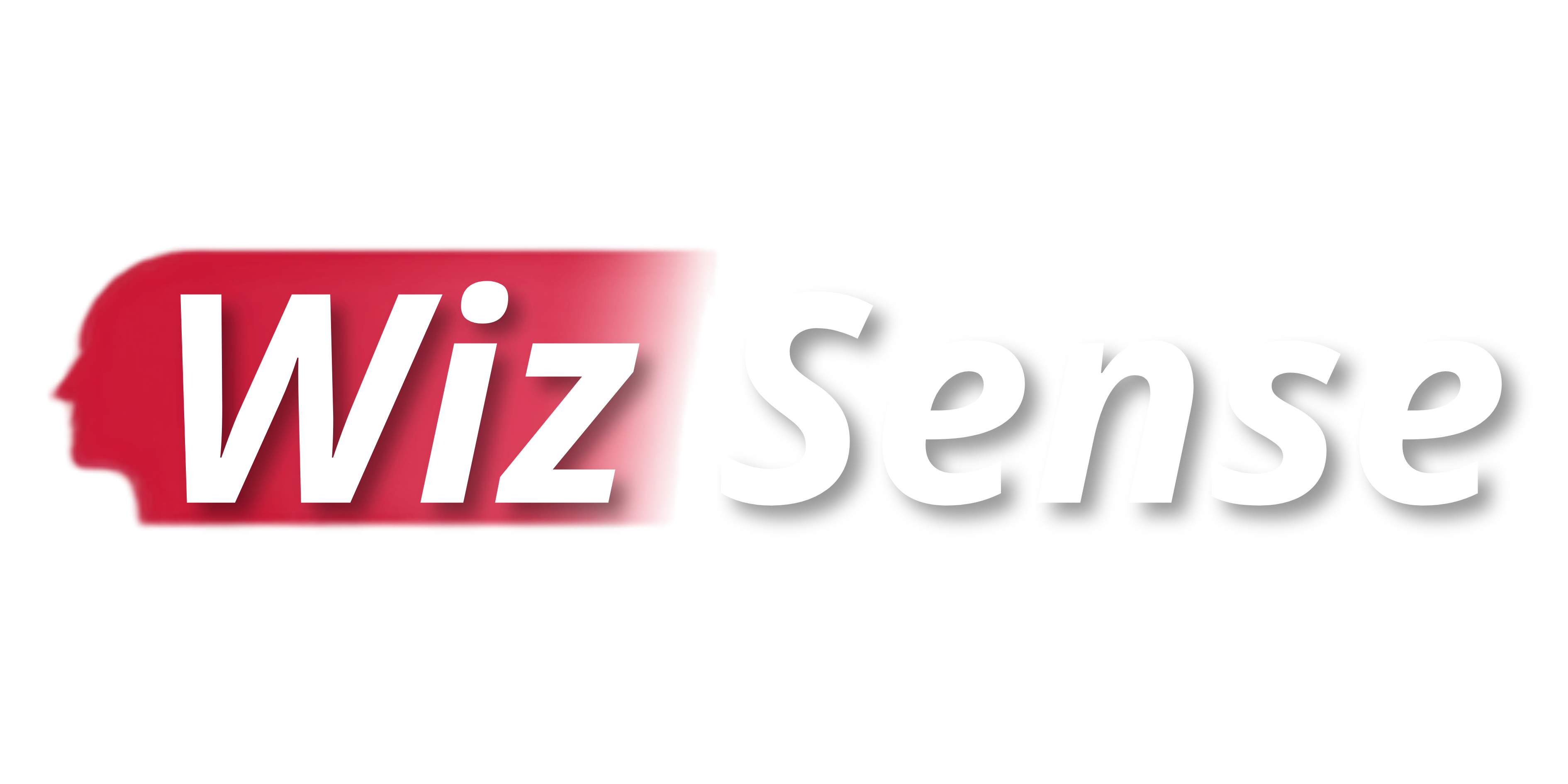 wizsense Logo